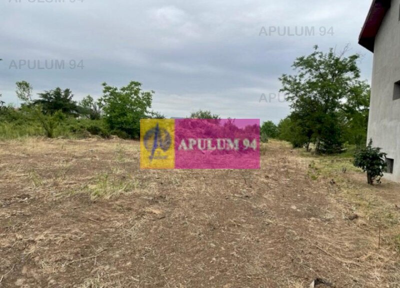 Teren Domnesti- Mega Image.